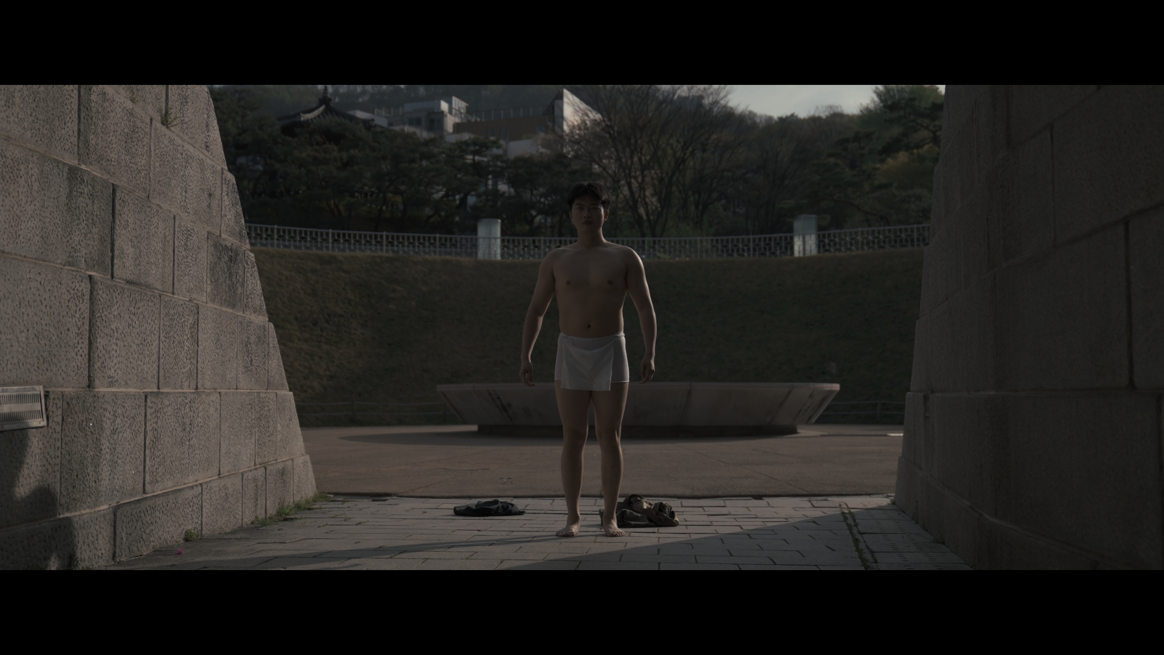 The Third Gaze additional image 30