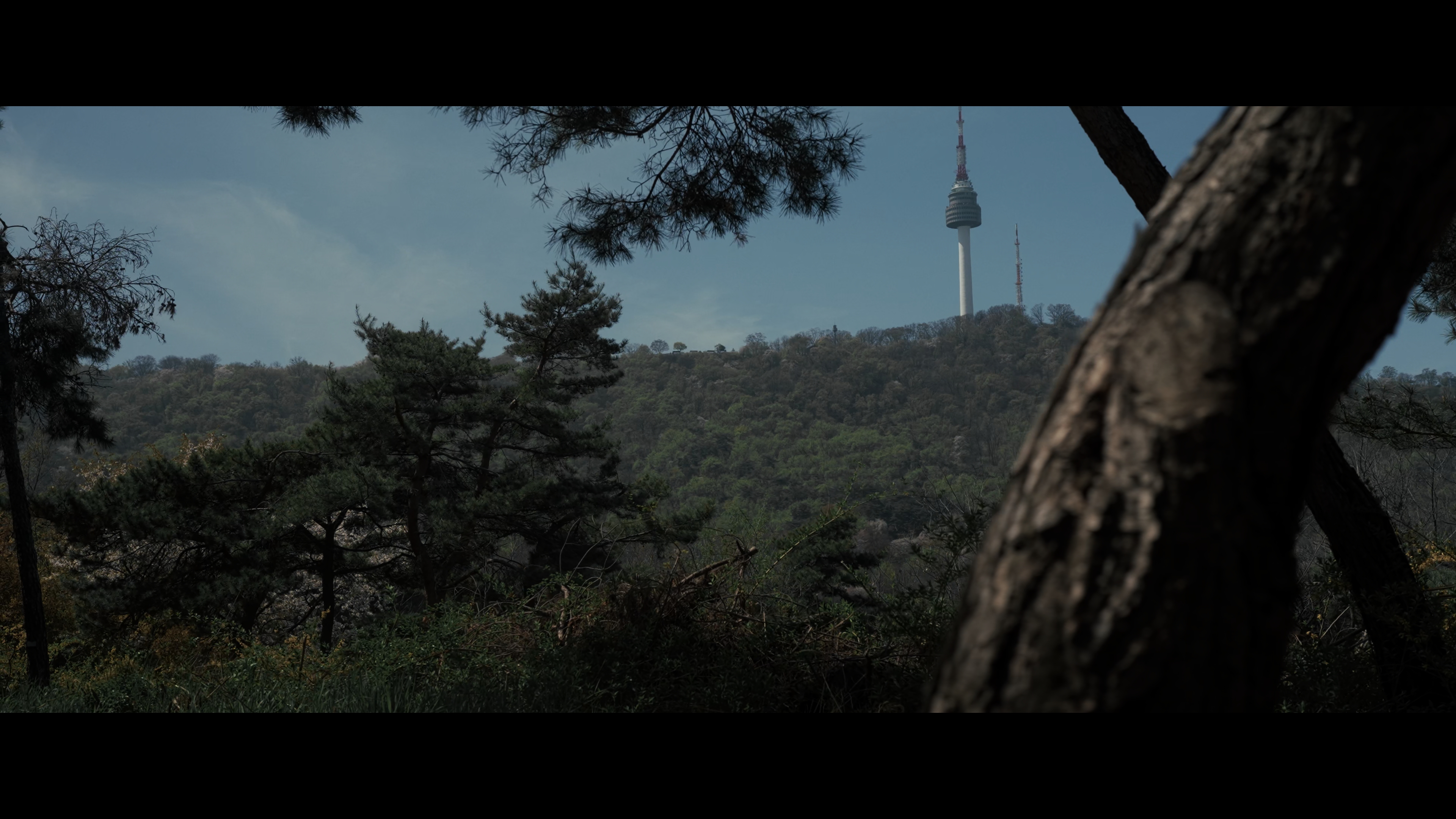The Third Gaze additional image 37
