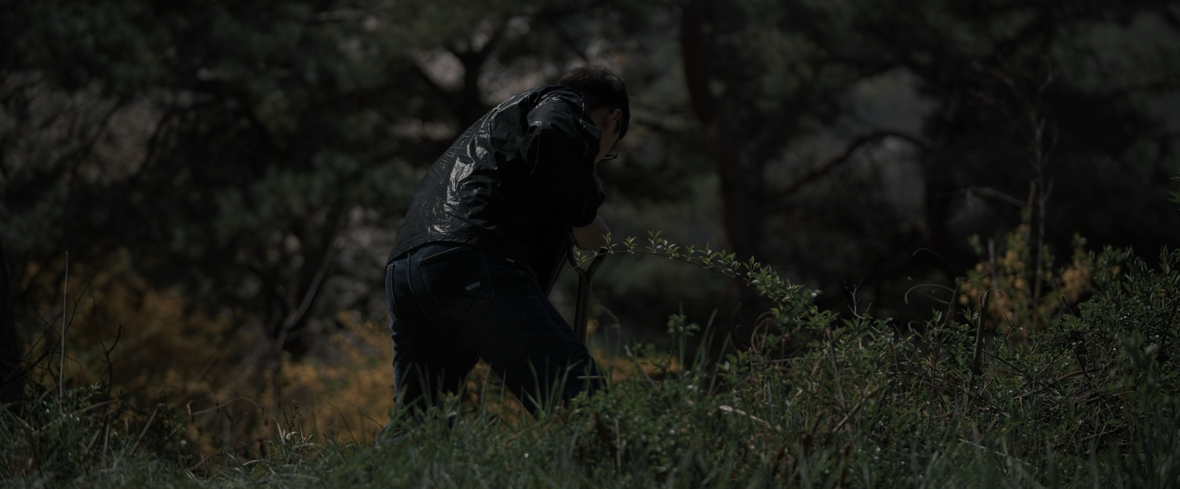 The Third Gaze additional image 38